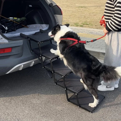 Dog Car Ramp