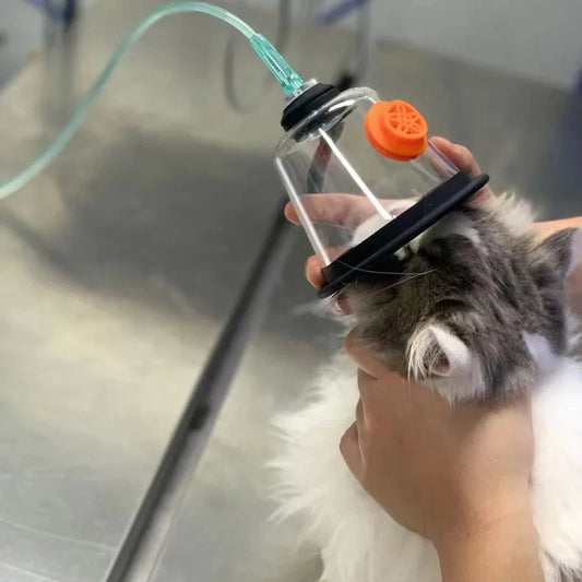 Cat Oxygen Mask Kit