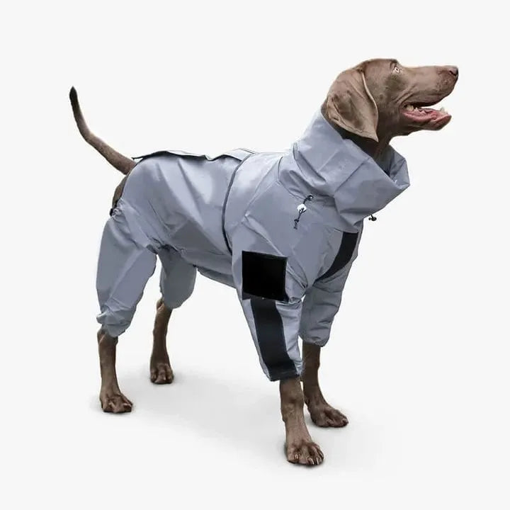 Dog Rain Coat