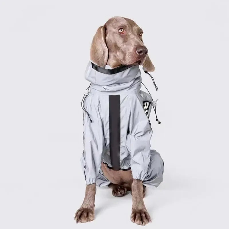 Dog Rain Coat