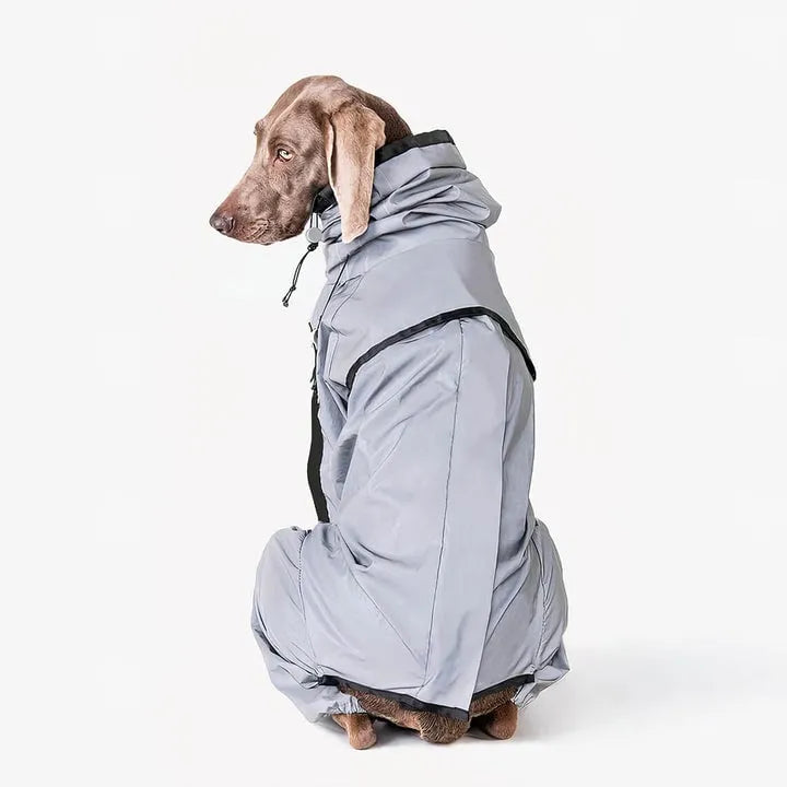 Dog Rain Coat